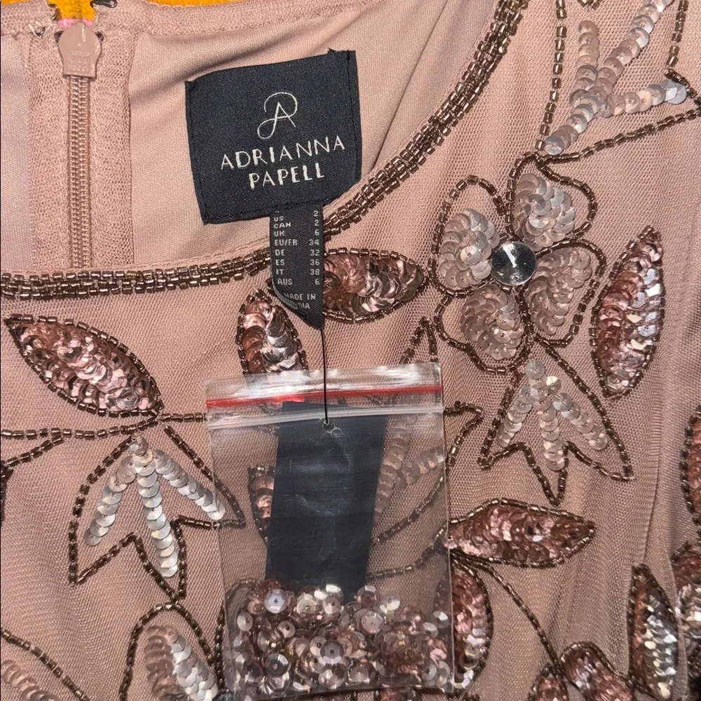 Adrianna Papell Floral Beaded Blouson Evening Gown Mauve Blush Pink size 2 New - Picture 6 of 8